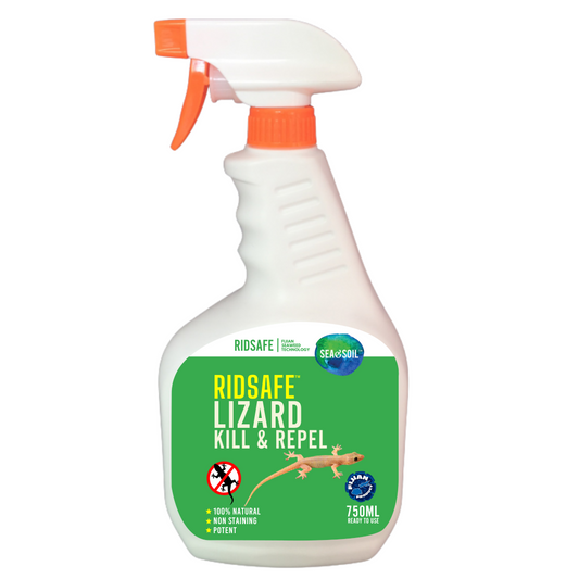 Lizard Kill & Repel